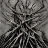 Forside til Branches of Bone