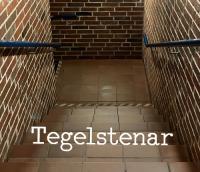 Forside til Tegelstenar