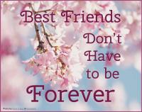 Forside til Best Friends Don't Have To Be Forever