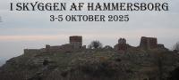 Forside til I skyggen af Hammersborg