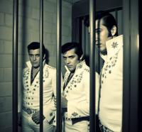 Forside til Elvis did it!