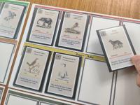 Front page for Linnaeus: Apostles of Nature