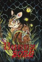 Omslag till Shadow Tales