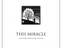 Forside til This Miracle