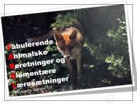 Front page for F.A.B.E.L.