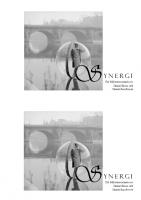 Forside til Synergi