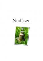 Forside til Nudåsen