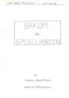Forside til Bakom Spegelporten